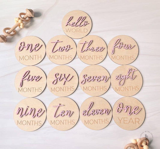 3D Monthly Milestone Discs Photo Props - Pink