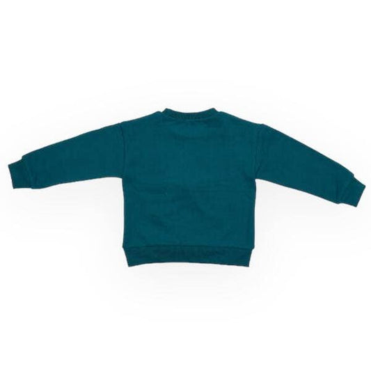 back teal sweatshirt on a white background