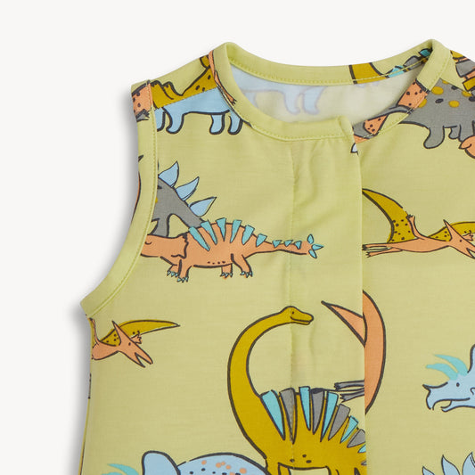 Baby sleeveless romper with dinosaur pattern on a light green background