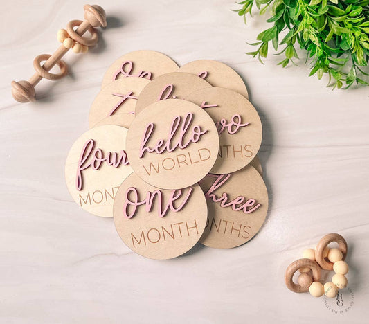3D Monthly Milestone Discs Photo Props - Pink
