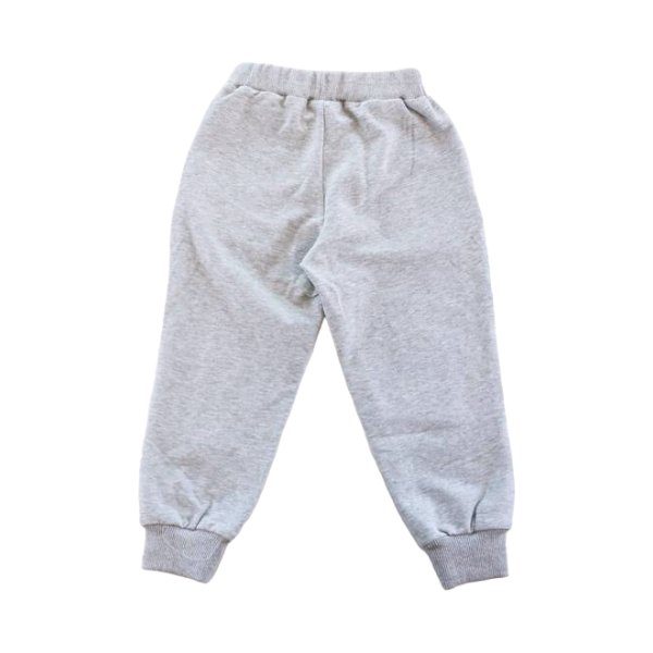 Gray sweatpants on a white background