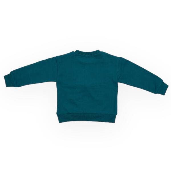 back teal sweatshirt on a white background