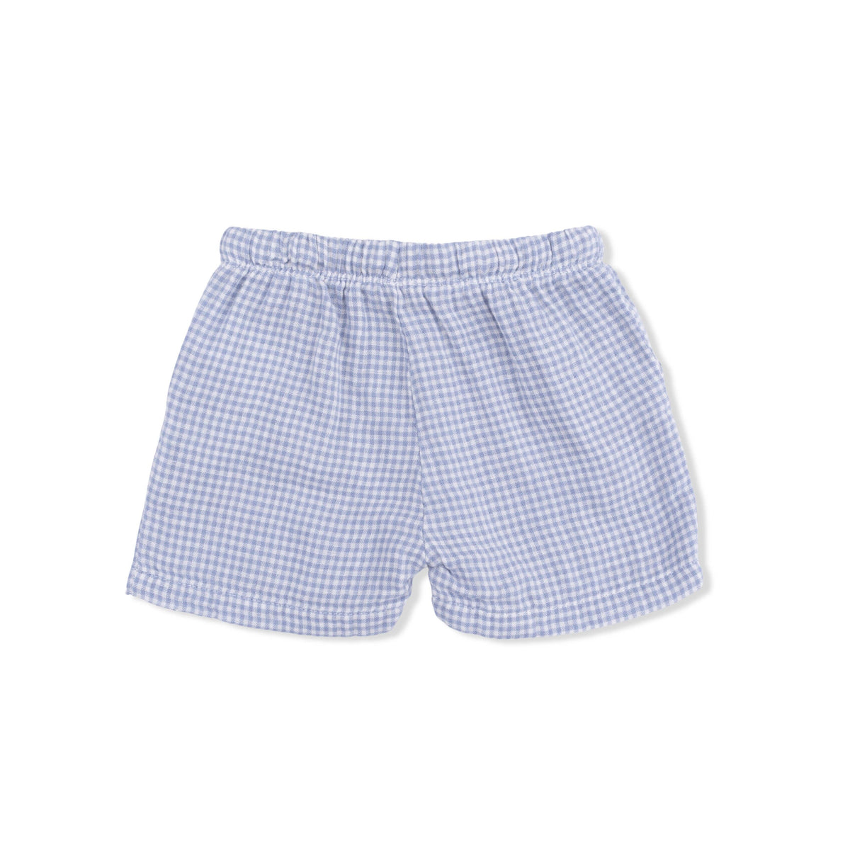 Back of Blue checkered shorts on a white background