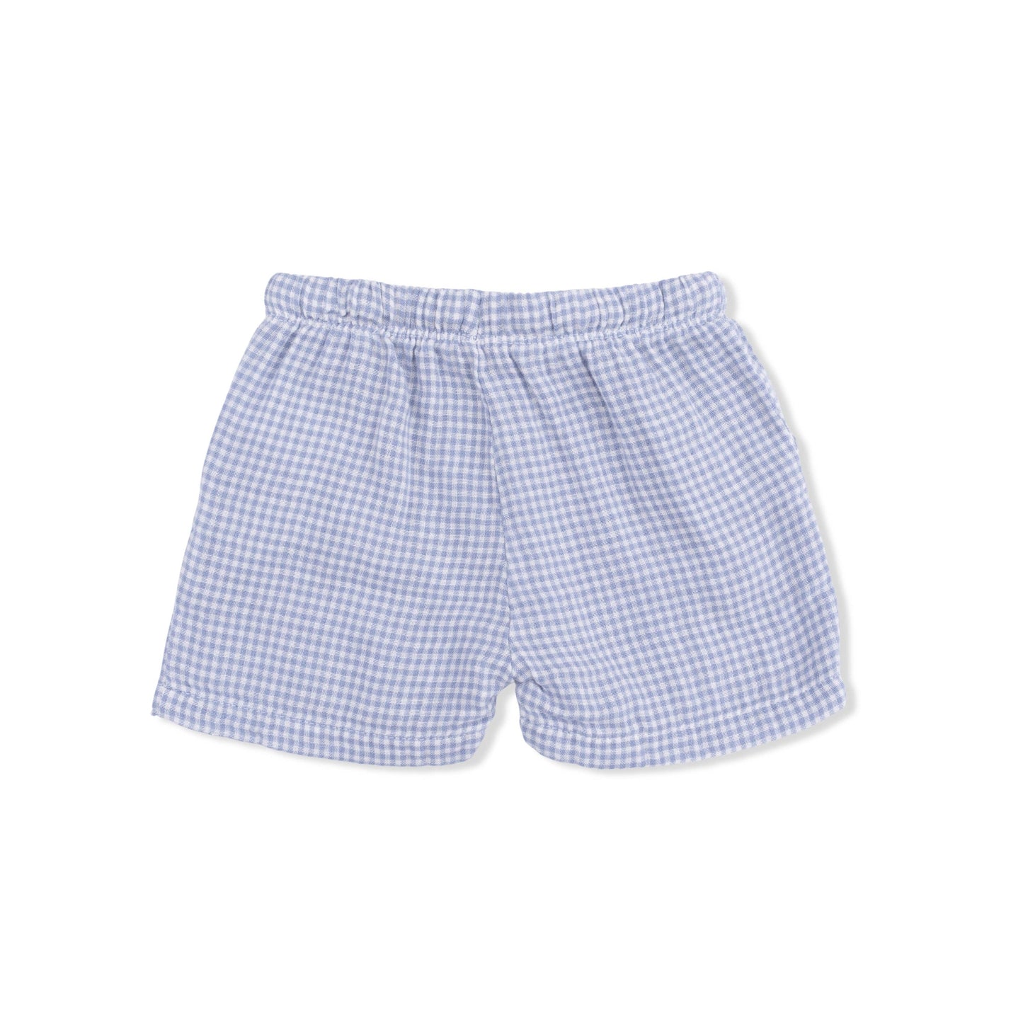 Back of Blue checkered shorts on a white background