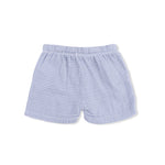 Back of Blue checkered shorts on a white background