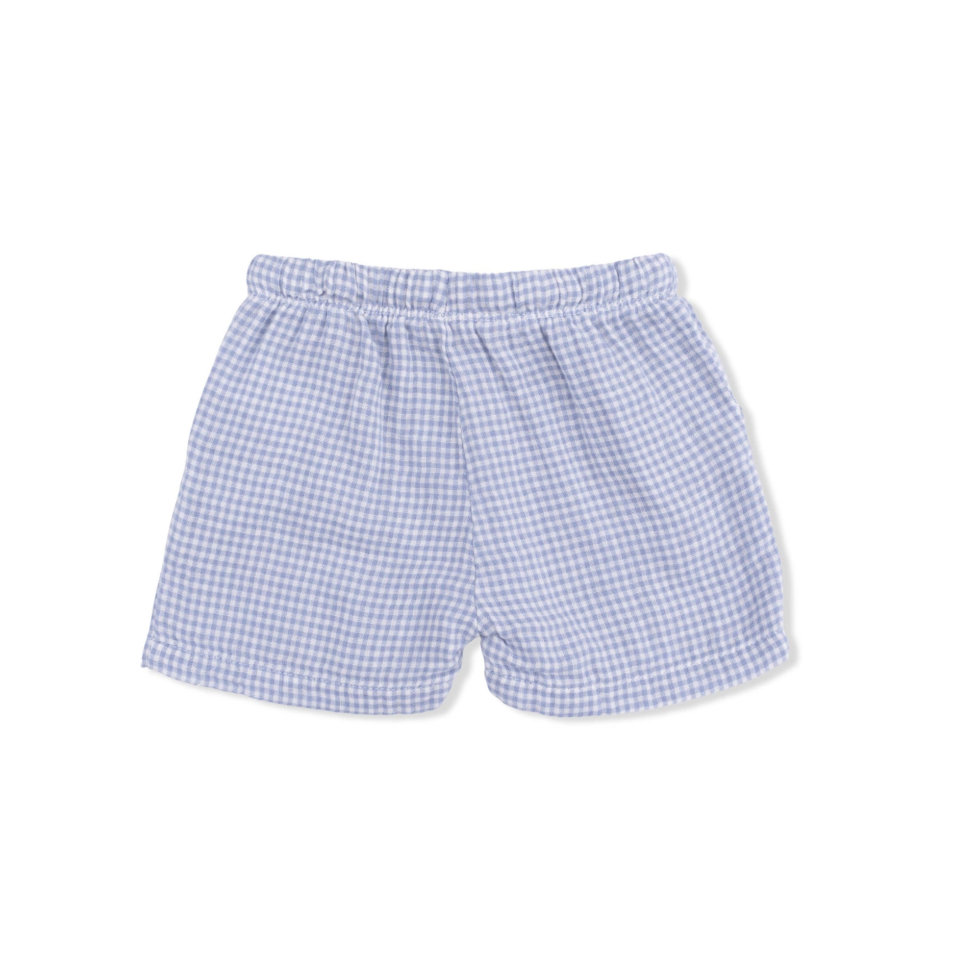 Back of Blue checkered shorts on a white background