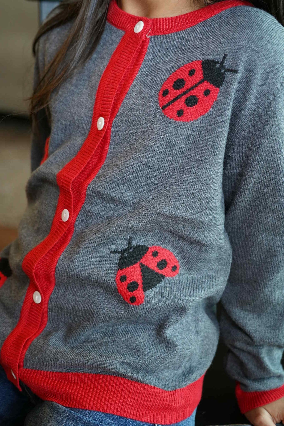 Gray baby outfit with red trim and ladybug designs on a plain background