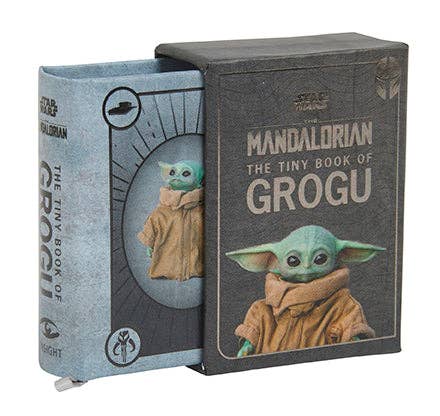The tiny book of Grogu from The Mandalorian 