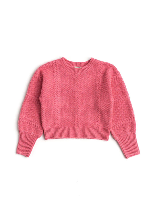 Pink sweater on a white background