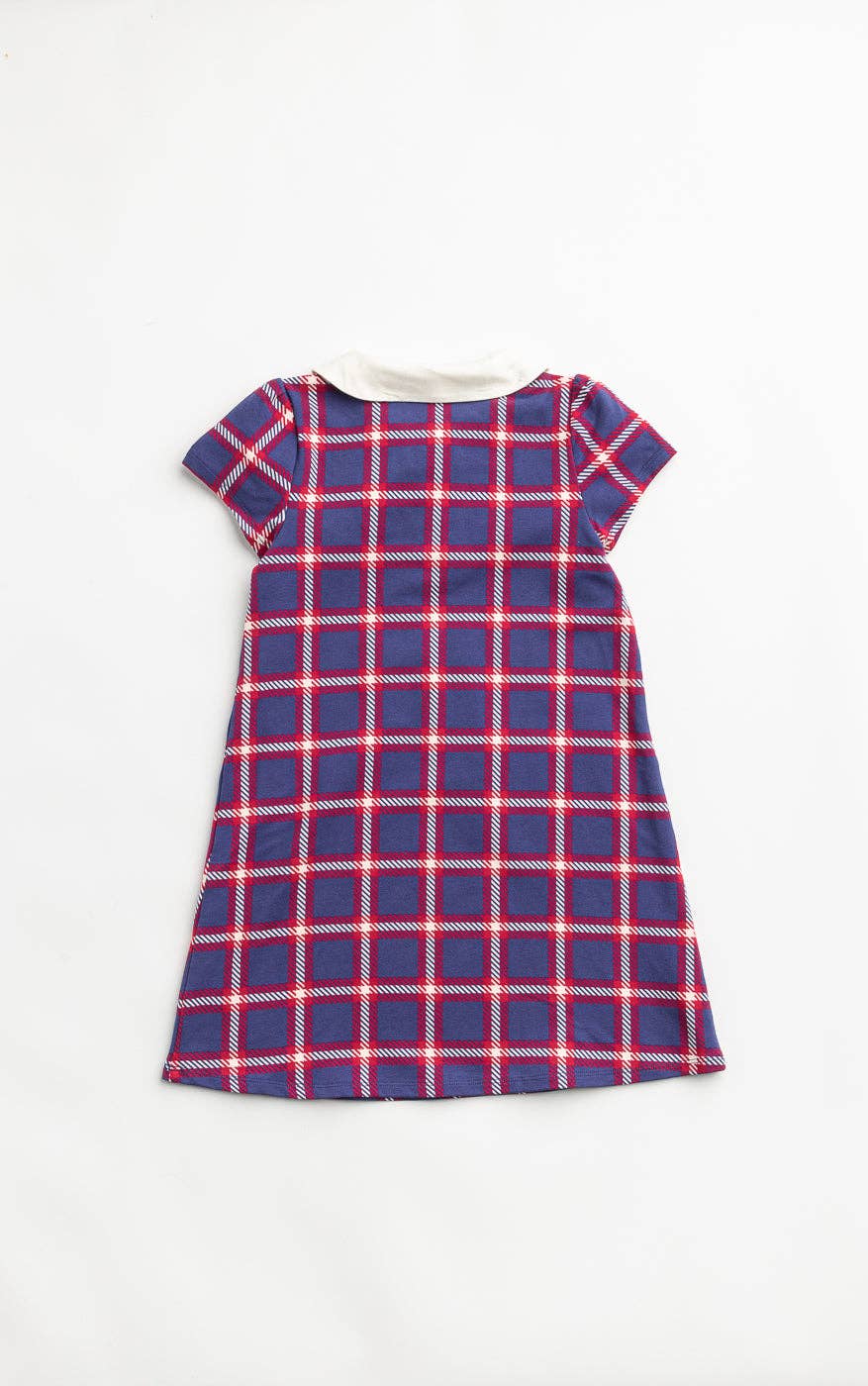 back of pink and purple checkered dress on a white background