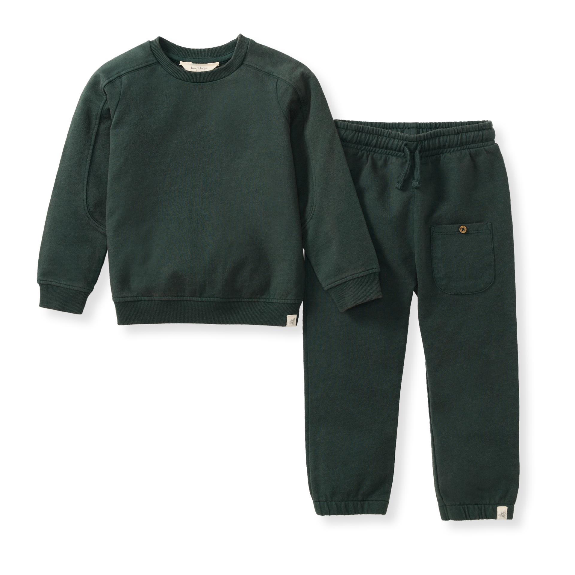 Green sweatshirt and pants set on a white background